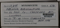 Image Associated With the Occurence